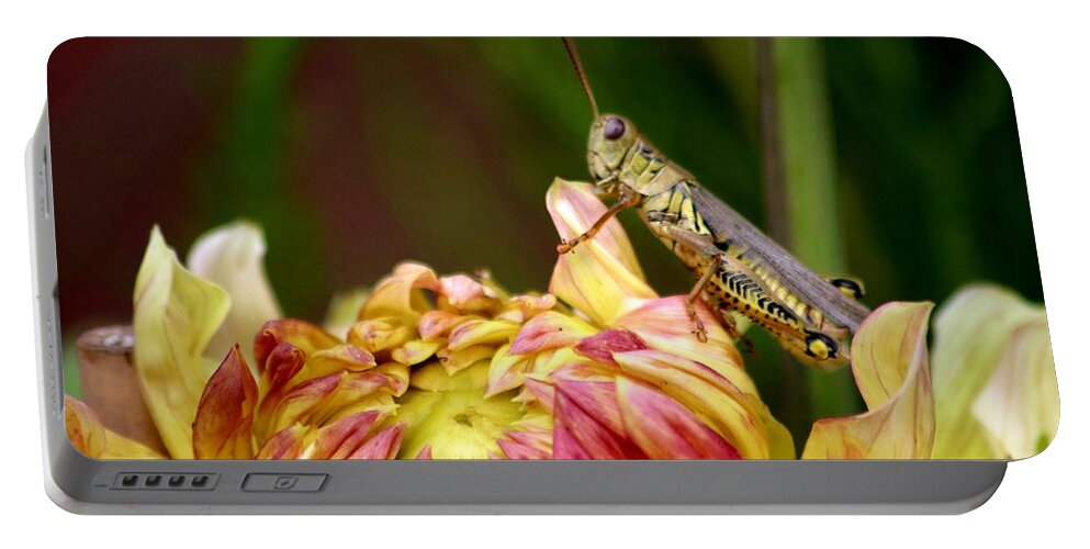 Grasshopper Portable Battery Charger featuring the photograph Grasshopper Love The Flowers by LaDonna McCray