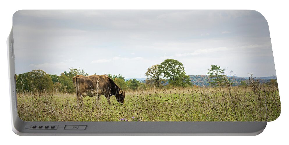 Cow Portable Battery Charger featuring the photograph Grazing Cow in the Pasture by Angie Tirado