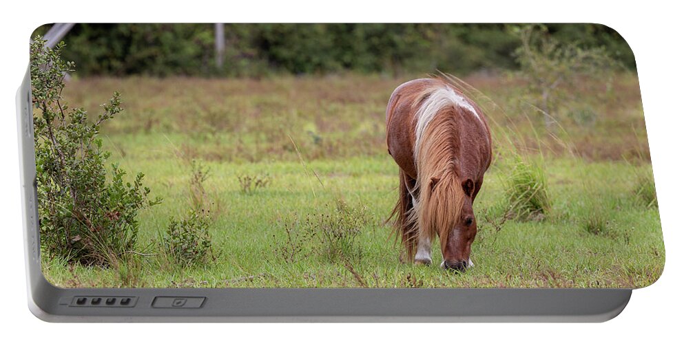 Camping Portable Battery Charger featuring the photograph Grazing Horse #291 by Michael Fryd