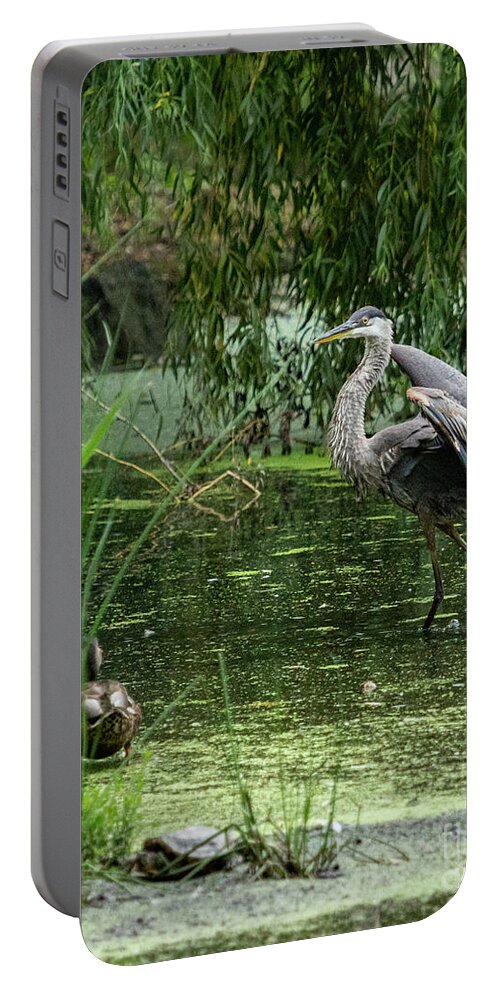 Great Blue Heron Portable Battery Charger featuring the photograph Great Blue Heron by Alyssa Tumale