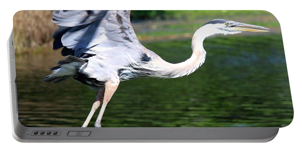 Great Portable Battery Charger featuring the photograph Great Blue Heron at Venetian Gardens #7 by Philip And Robbie Bracco