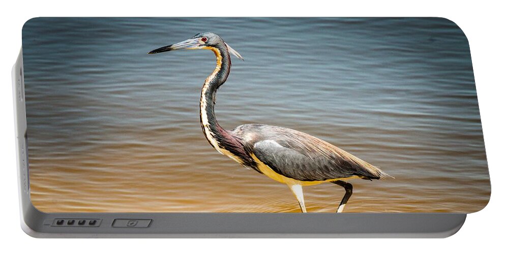 Great Portable Battery Charger featuring the photograph Great Blue Heron High resolution by Philip And Robbie Bracco