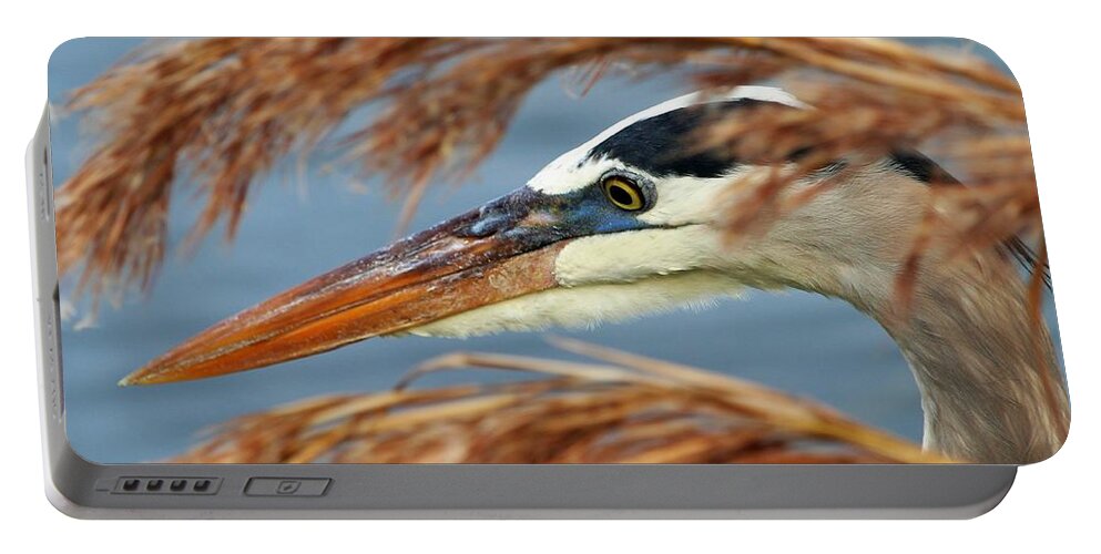 Great Blue Heron Portable Battery Charger featuring the photograph Great Blue Heron by Joanne Carey