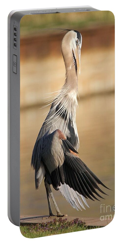 Great Blue Heron Portable Battery Charger featuring the photograph Great Blue Heron Relaxed Wings by Yvonne M Smith