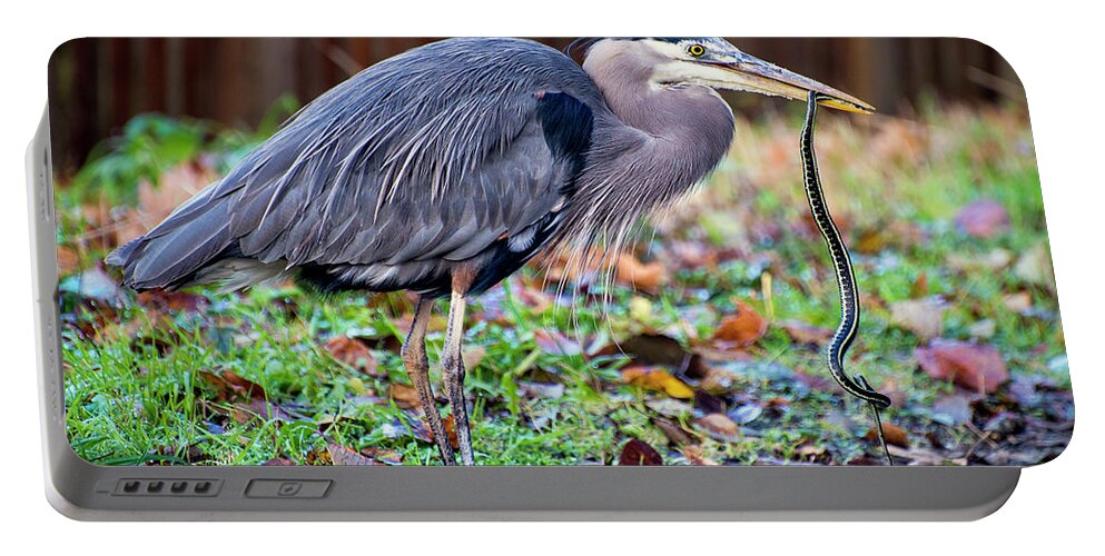 Fine Art Portable Battery Charger featuring the photograph Great Blue Heron with Lunch by Greg Sigrist