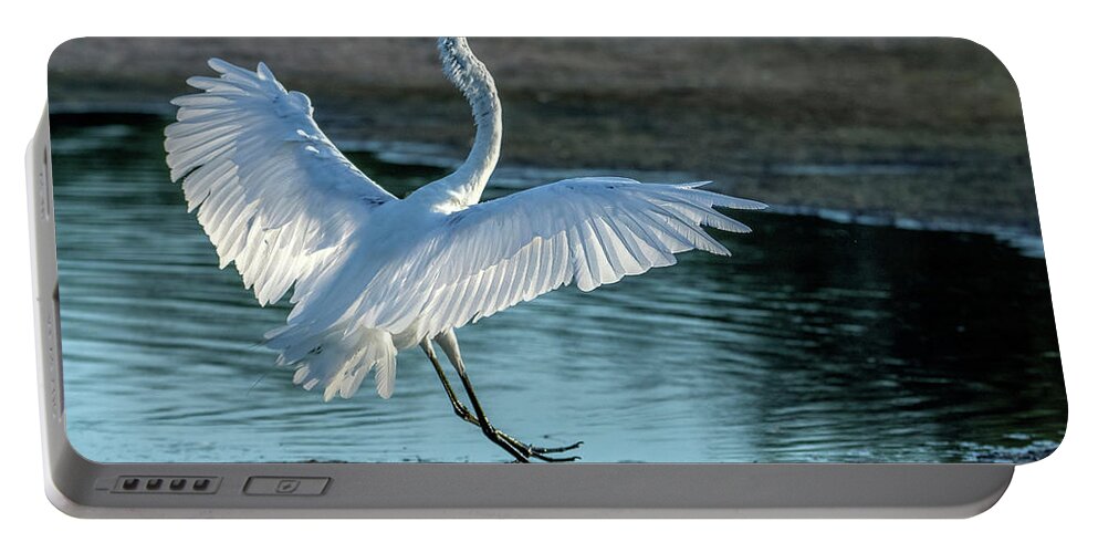 Great Egret Portable Battery Charger featuring the photograph Great Egret 2110-070621-2 by Tam Ryan