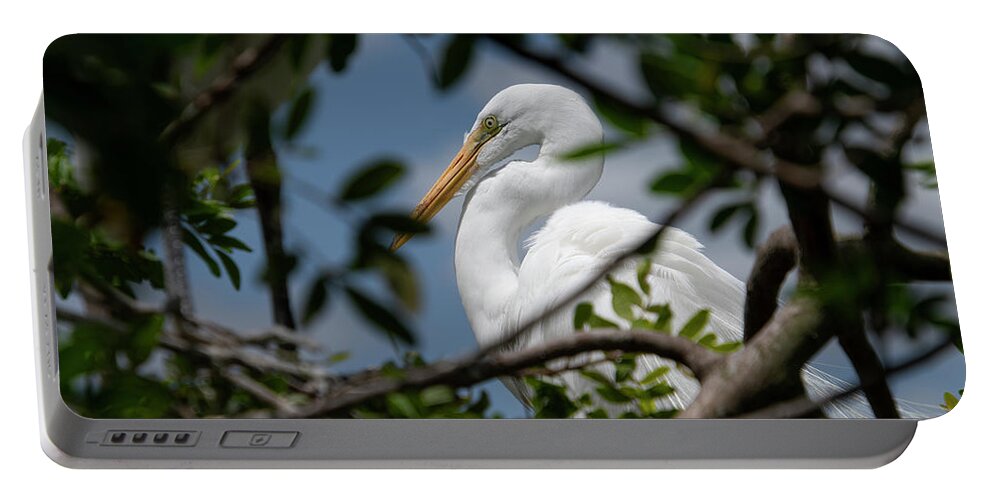 Great Portable Battery Charger featuring the photograph Great Egret by Carolyn Hutchins