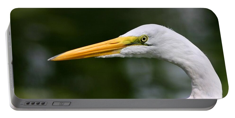 Bird Portable Battery Charger featuring the photograph Great Egret by Kristin Elmquist