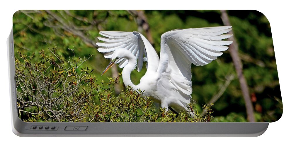 Bird Portable Battery Charger featuring the photograph Great Egret Landing by Kathy Baccari