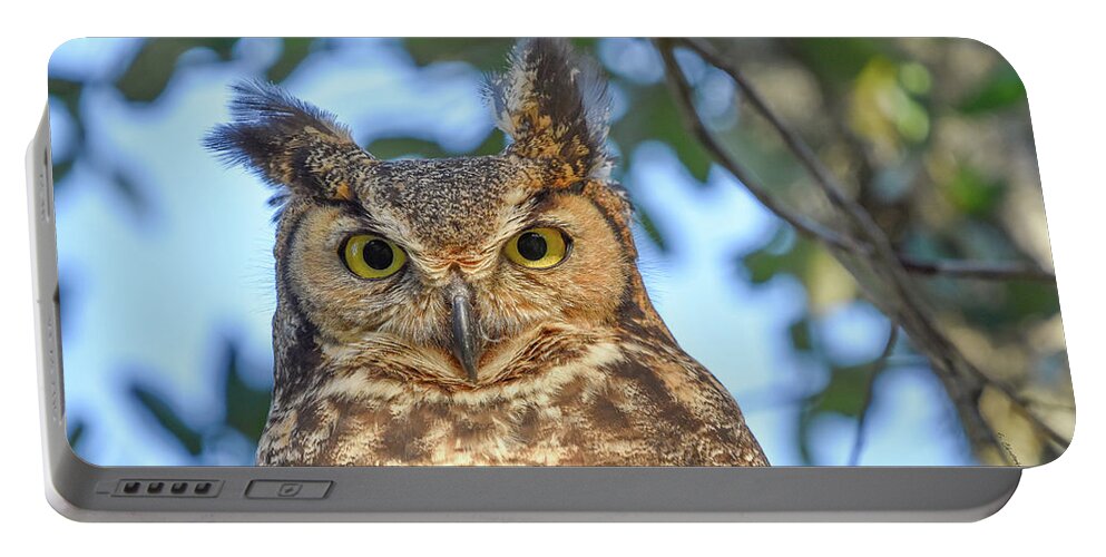 Owl Portable Battery Charger featuring the photograph Great Horned Owl by Christopher Rice