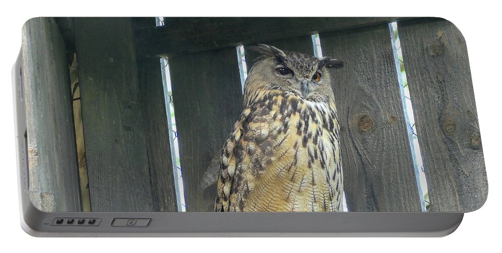Owl Portable Battery Charger featuring the photograph Great horned owl in a corner by Bentley Davis