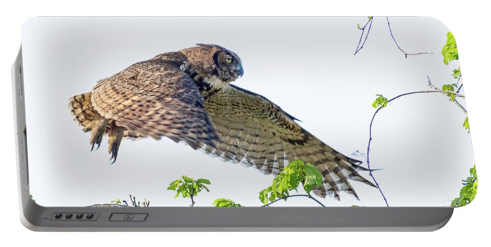 Great Horned Owl Portable Battery Charger featuring the photograph Great Horned Owl in Flight by Jim Miller