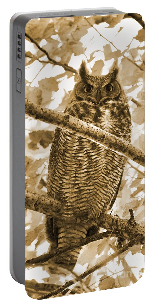 Owl Portable Battery Charger featuring the photograph Great Horned Owl in Tree - Sepia by Carol Groenen