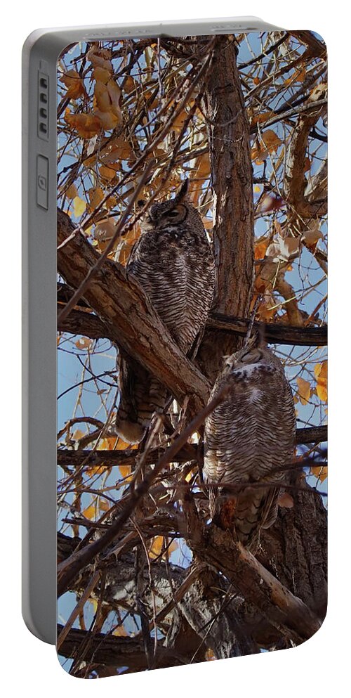 Birds Portable Battery Charger featuring the photograph Great Horned Owls by Ernest Echols