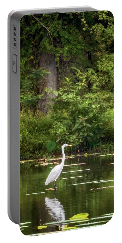 Great Egret Portable Battery Charger featuring the photograph Great White Egret - Crab Orchard Lake by Susan Rissi Tregoning