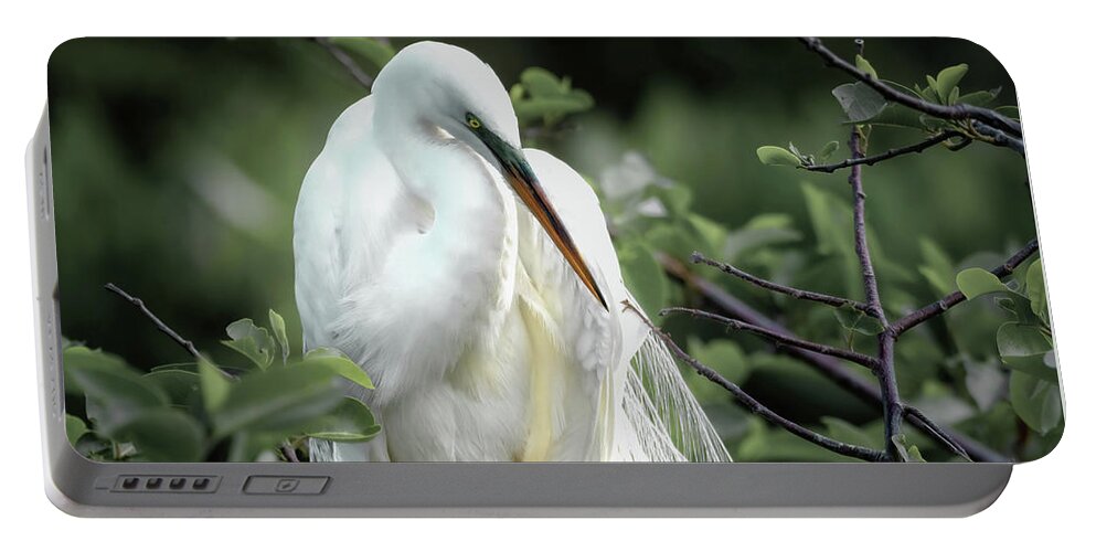 Egret Portable Battery Charger featuring the photograph Great White Egret In Early Morning Light by Rebecca Herranen