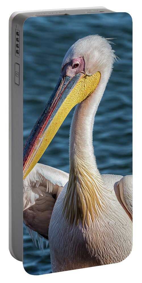 Great White Pelican Portable Battery Charger featuring the photograph Great White Pelican, Profile by Belinda Greb
