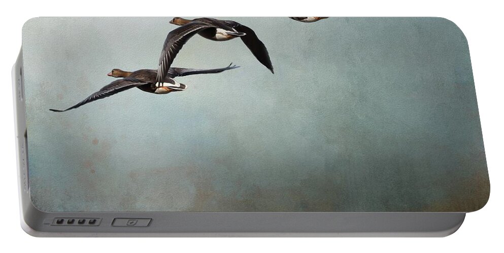 Geese Portable Battery Charger featuring the photograph Greater White-Fronted Geese In Flight by Eva Lechner