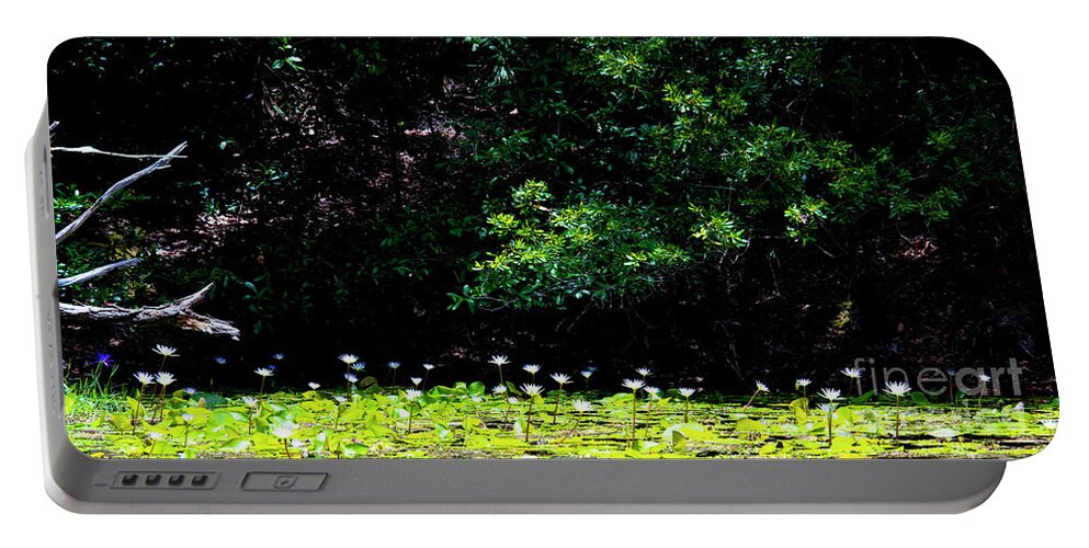 Green And White Portable Battery Charger featuring the photograph Green And White, Field Of Water Lilies by Felix Lai