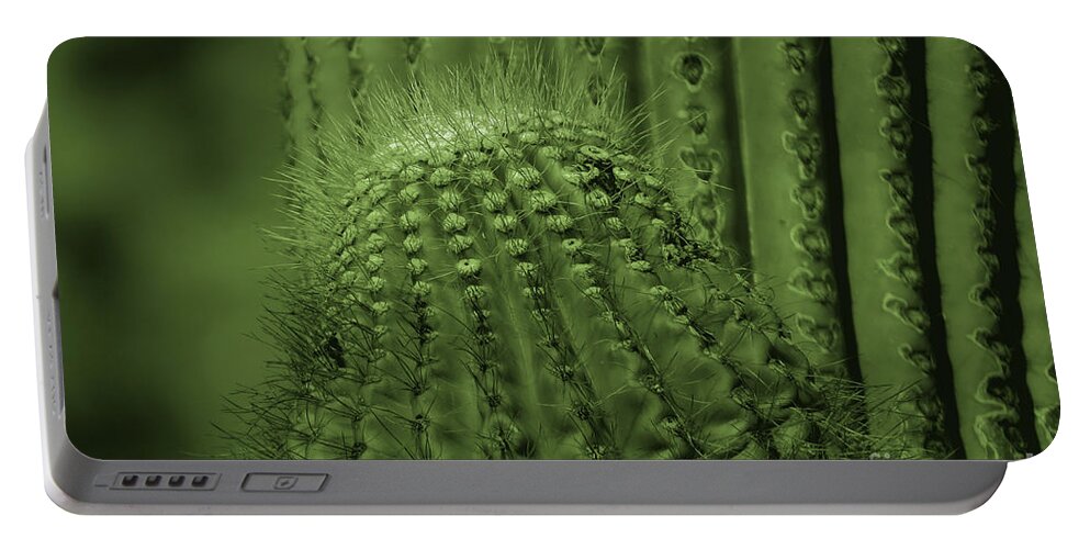 Plants Portable Battery Charger featuring the photograph Green Cactus by Mary Mikawoz