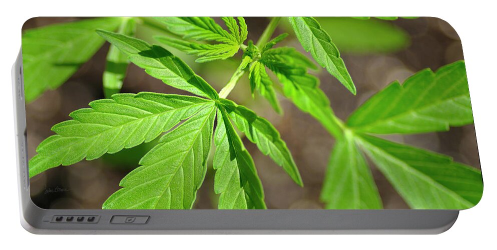 Cannabis Leaf Portable Battery Charger featuring the photograph Green Cannabis Leaves by Luke Moore