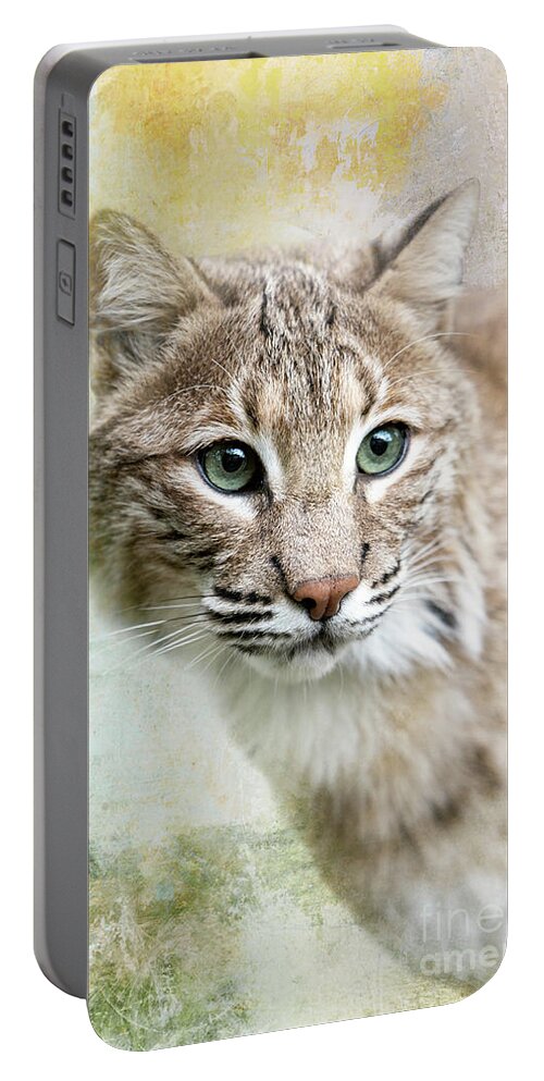 Red Wolf Sanctuary Portable Battery Charger featuring the photograph Green Eyed Bobcat by Ed Taylor