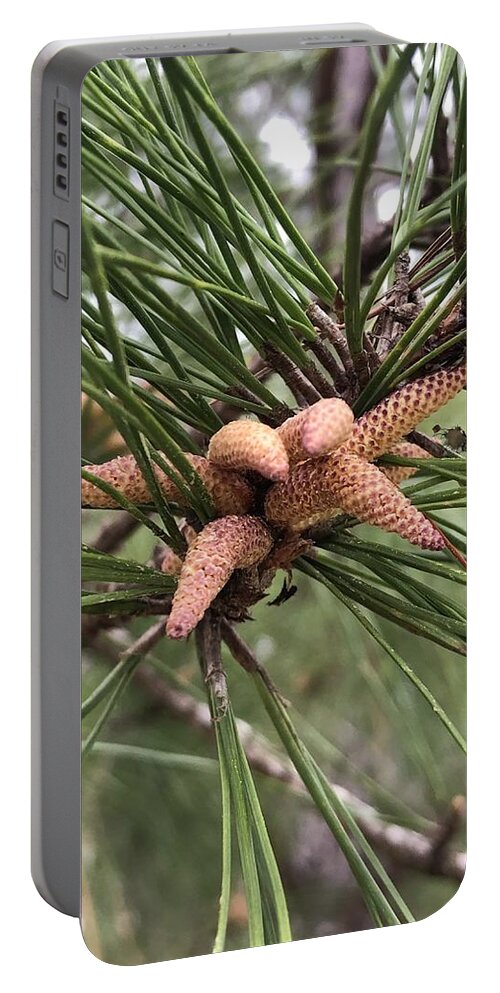 Green Fingers Portable Battery Charger featuring the photograph Green Fingers by Marian Lonzetta