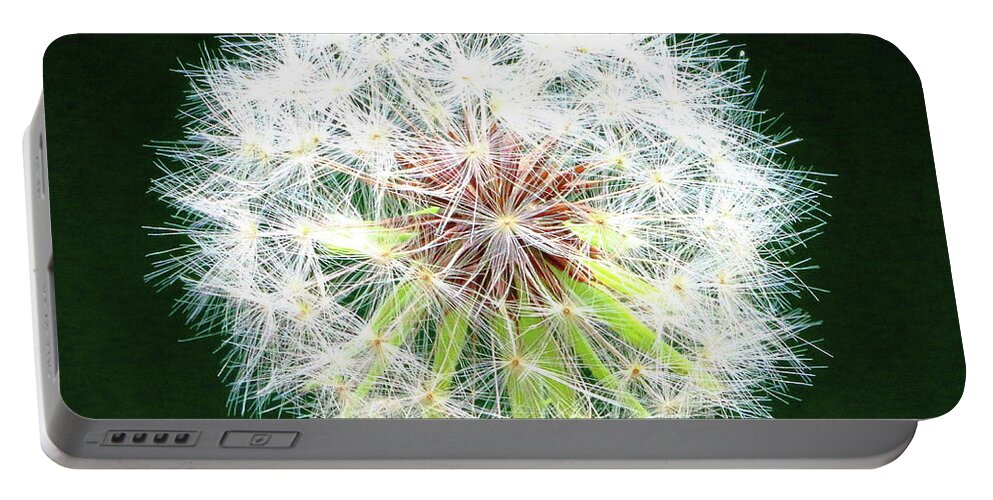 Dandelion Portable Battery Charger featuring the photograph Green Geometry by Larry Beat