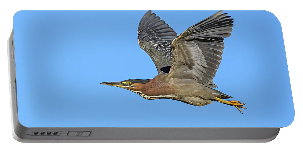 Green Heron Portable Battery Charger featuring the photograph Green Heron 5534-061820-2 by Tam Ryan