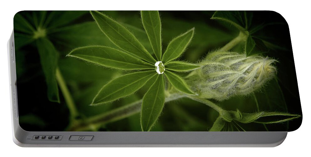 Alaska Portable Battery Charger featuring the photograph Green Leaves on a Dark Background by James C Richardson