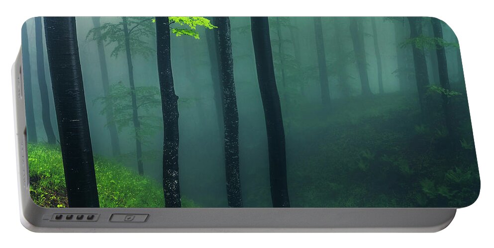 Balkan Mountains Portable Battery Charger featuring the photograph Green Mist by Evgeni Dinev