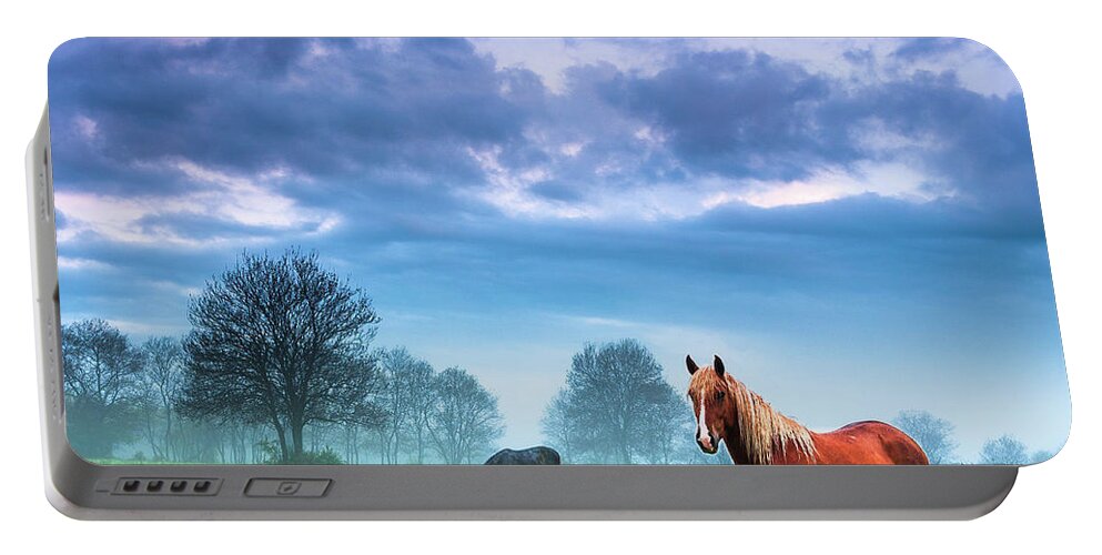 Fog Portable Battery Charger featuring the photograph Green Morn by Evgeni Dinev