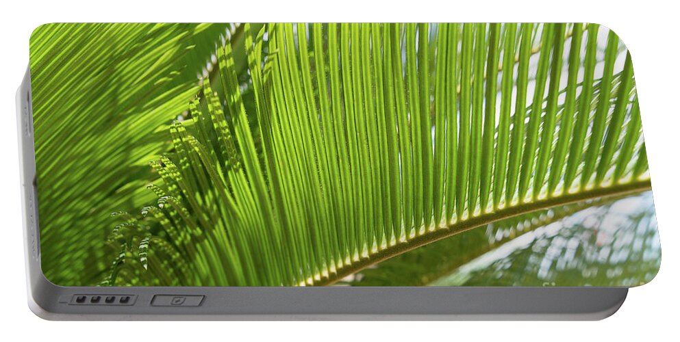 Palm Fern Portable Battery Charger featuring the photograph Green palm fern and Mediterranean sunlight by Adriana Mueller