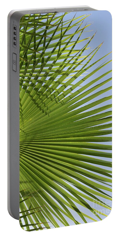 Palm Leaf Portable Battery Charger featuring the photograph Green palm leaf and blue sky, beach season by Adriana Mueller