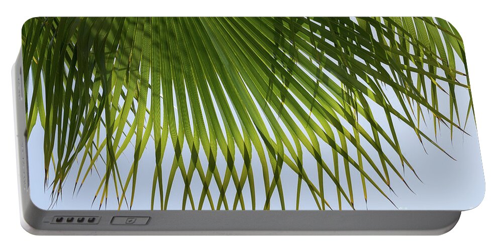 Palm Leaf Portable Battery Charger featuring the photograph Green palm leaf and blue sky on the beach by Adriana Mueller