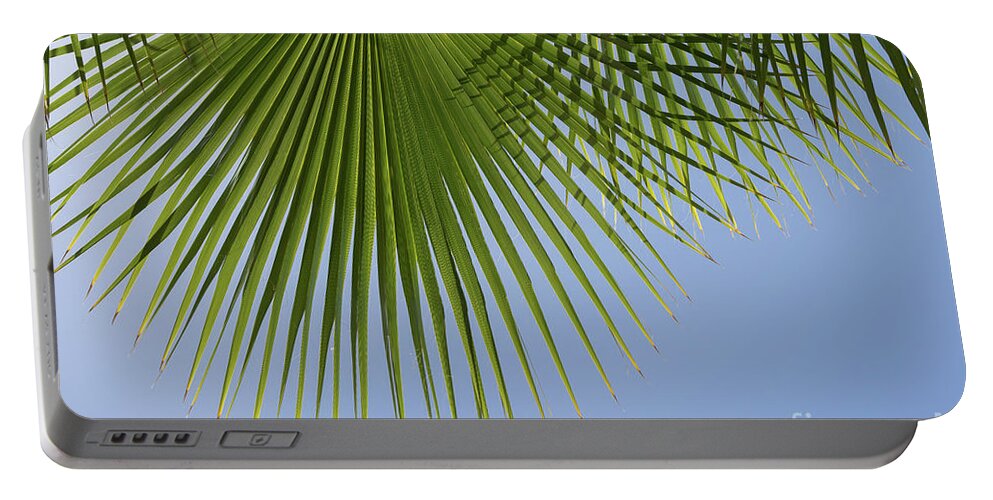 Palm Leaf Portable Battery Charger featuring the photograph Green palm leaf and blue sky, summer season by Adriana Mueller