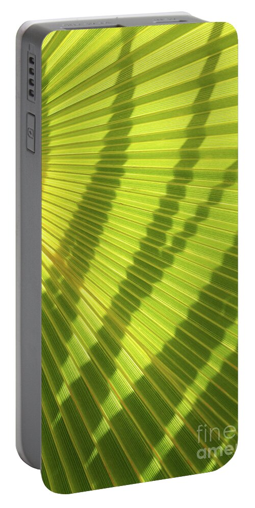Palm Leaf Portable Battery Charger featuring the photograph Green palm leaf and shadows 1 by Adriana Mueller
