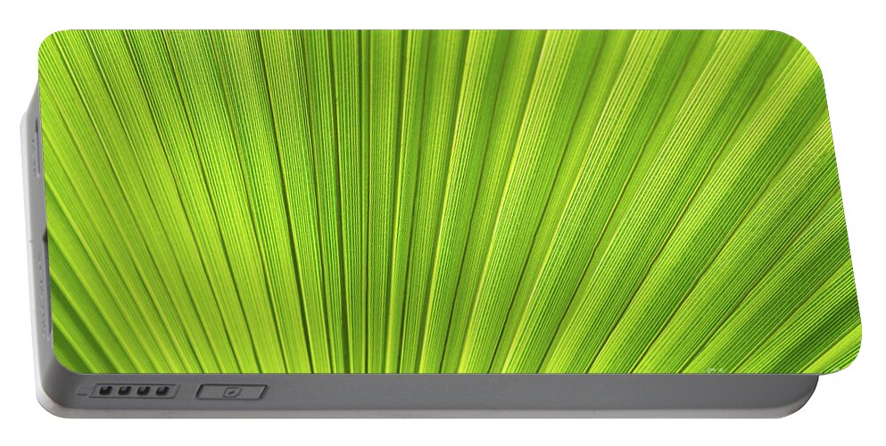 Palm Leaf Portable Battery Charger featuring the photograph Green palm leaf and mediterranean sunlight by Adriana Mueller