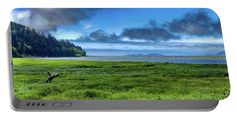 Landscape Portable Battery Charger featuring the digital art Green Reed Sea by Chriss Pagani