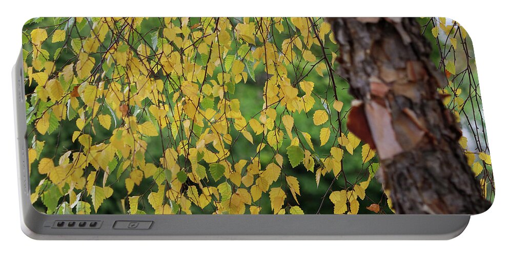 Seasons Portable Battery Charger featuring the photograph Green to Gold by Mary Anne Delgado