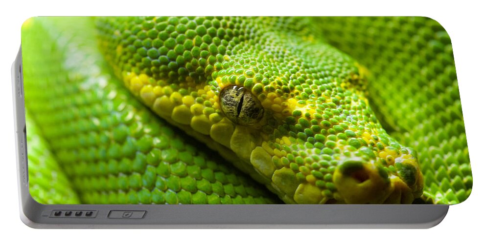 Green Tree Python Portable Battery Charger featuring the digital art Green tree python by Geir Rosset