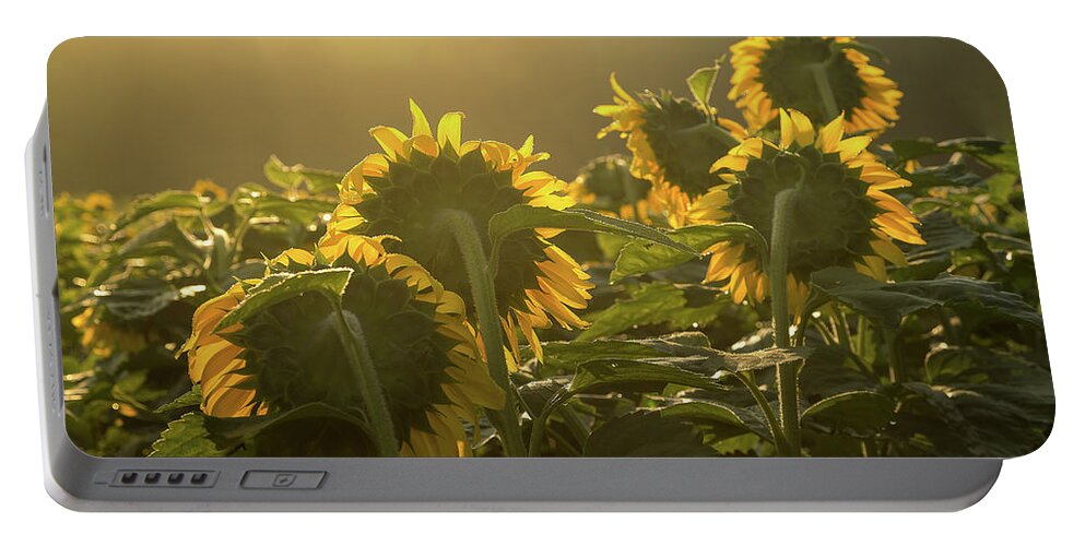 Sunflower Portable Battery Charger featuring the photograph Greeting the dawn by Robert Miller