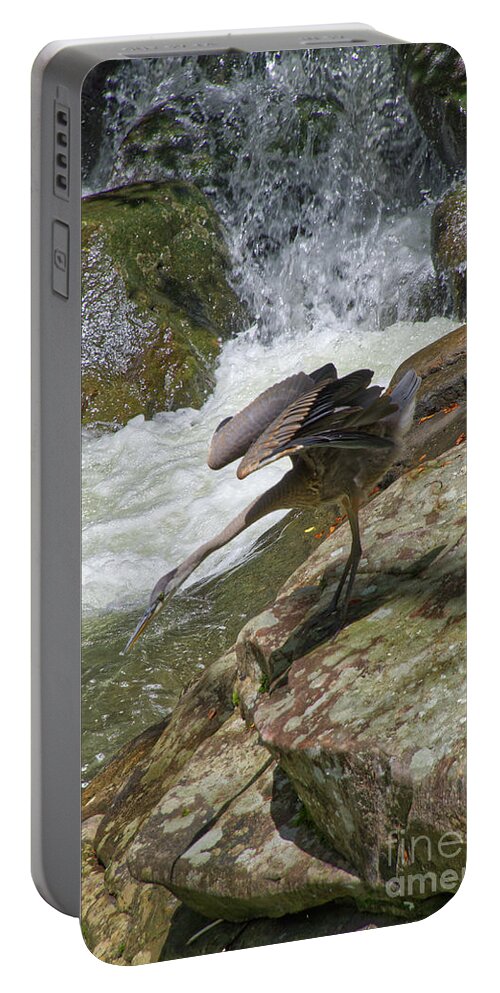 Grey Heron Portable Battery Charger featuring the photograph Grey Heron Hunting by Phil Perkins