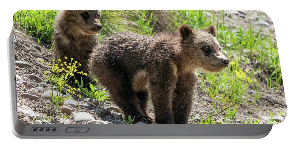 Grizzly Portable Battery Charger featuring the photograph Grizzly Bear Cubs by Wesley Aston