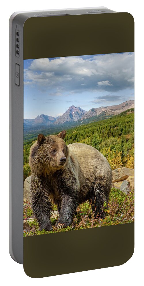 Adult Portable Battery Charger featuring the photograph Grizzly Bear in Glacier National Park by Jeff Goulden