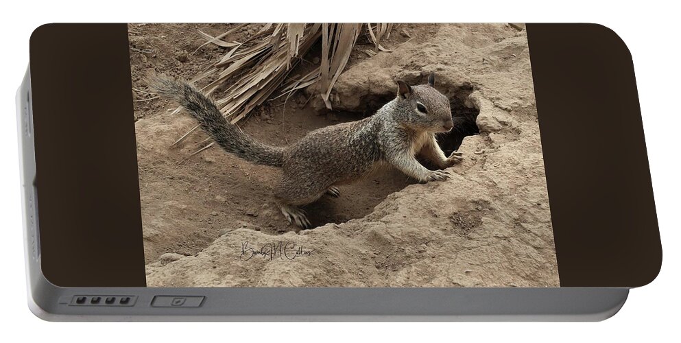 Ground Squirrel Portable Battery Charger featuring the photograph Ground Squirrel by Burrow by Beverly M Collins