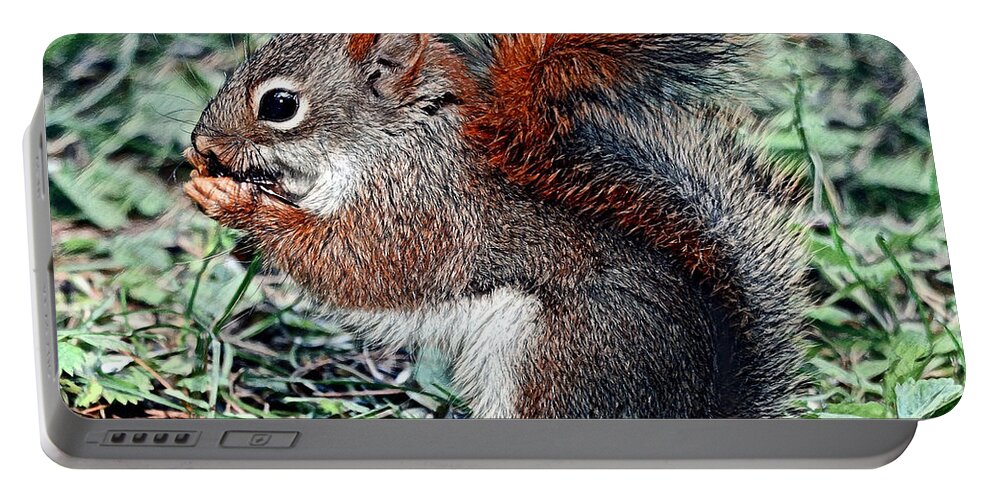 Squirrel Portable Battery Charger featuring the digital art Ground Squirrel by Pennie McCracken