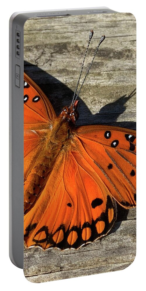 Gulf Fritillary Portable Battery Charger featuring the photograph Gulf Fritillary On Wood by Nancy Denmark