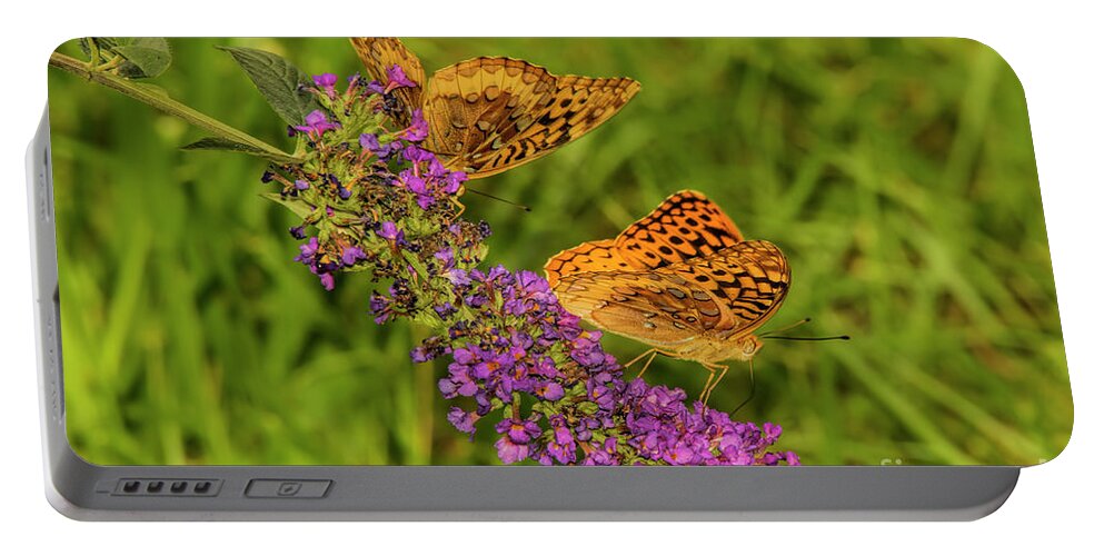 Butterfly Portable Battery Charger featuring the photograph Varigated Fritilliary Duo by Barbara Bowen