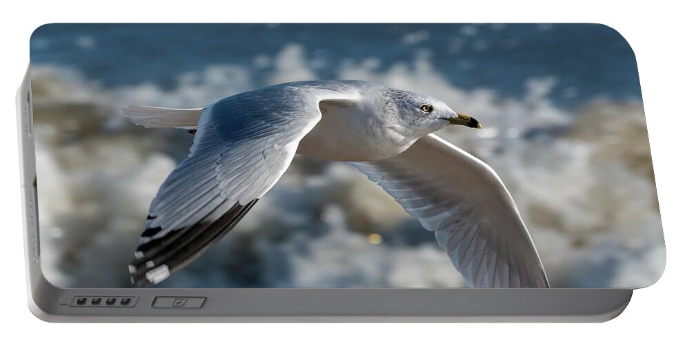 Action Portable Battery Charger featuring the photograph Gull at the Beach by Liza Eckardt
